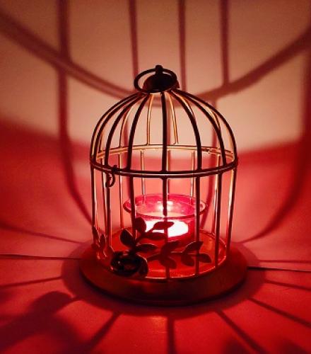 gig rewards membership UK