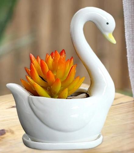 White Swan Ceramic Pot For Plant - 1 Pc - Price In USD