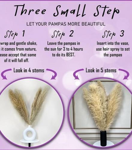 Natural Dried Pampas Grass For Decoration - 1 Set - Price In USD