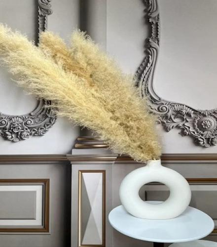 Natural Dried Pampas Grass For Decoration - 1 Set - Price In USD