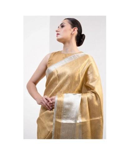 Pastel Sky-blue Tissue Brocade Handloom Banarasi Saree